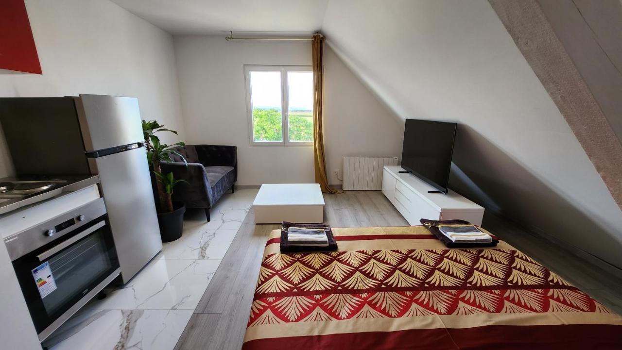 Appartement Vue Panoramique Sur La Plaine D'Alsace Andolsheim Exterior foto